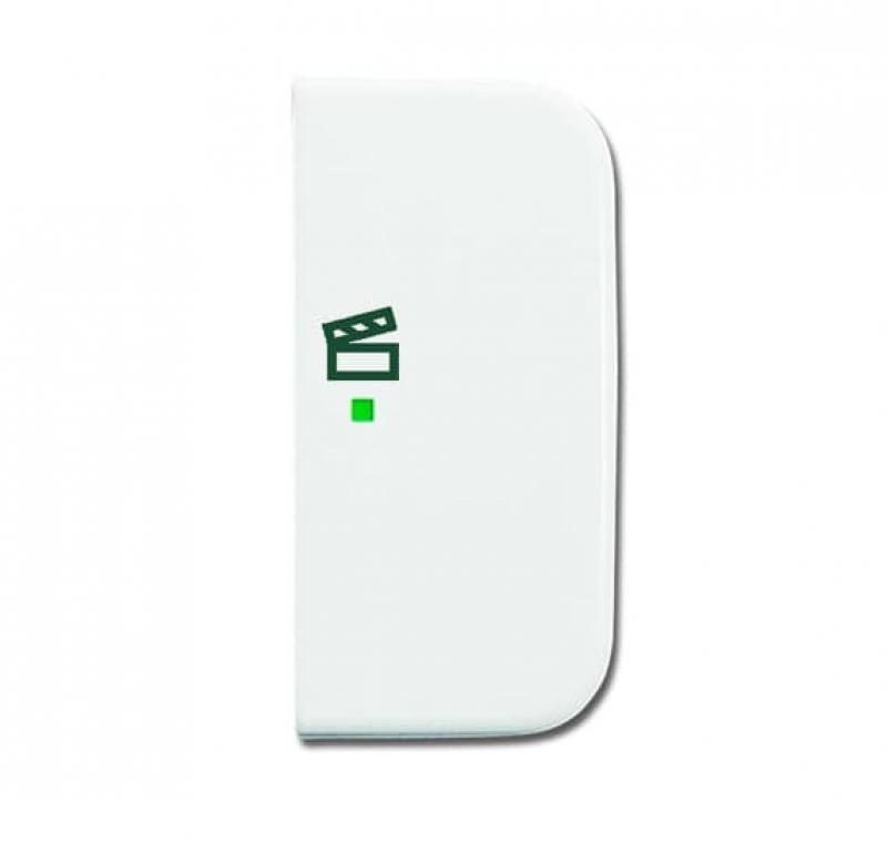 Busch-Jaeger 6233-22-214 Wippe 2-fach rechts mit Symbol "Szene"