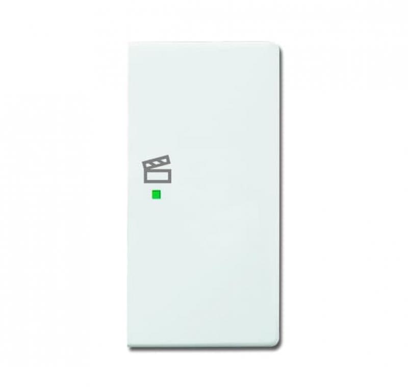 Busch-Jaeger 6233-22-84 Wippe 2-fach rechts mit Symbol "Szene"