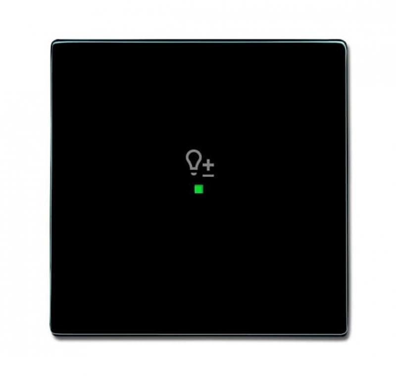 Busch-Jaeger 6234-10-81 Wippe 1-fach mit Symbol "Dimmer"