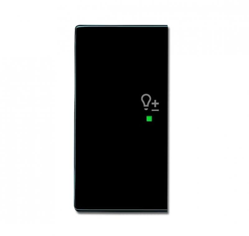 Busch-Jaeger 6234-21-81 Wippe 2-fach links mit Symbol "Dimmer"