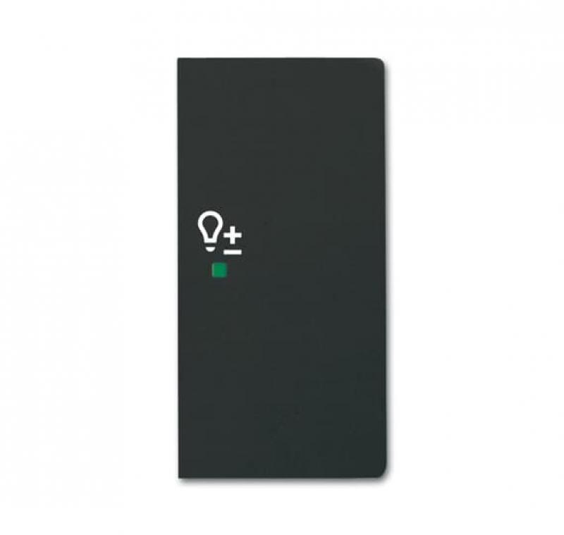 Busch-Jaeger 6234-22-885 Wippe 2-fach rechts mit Symbol "Dimmer"