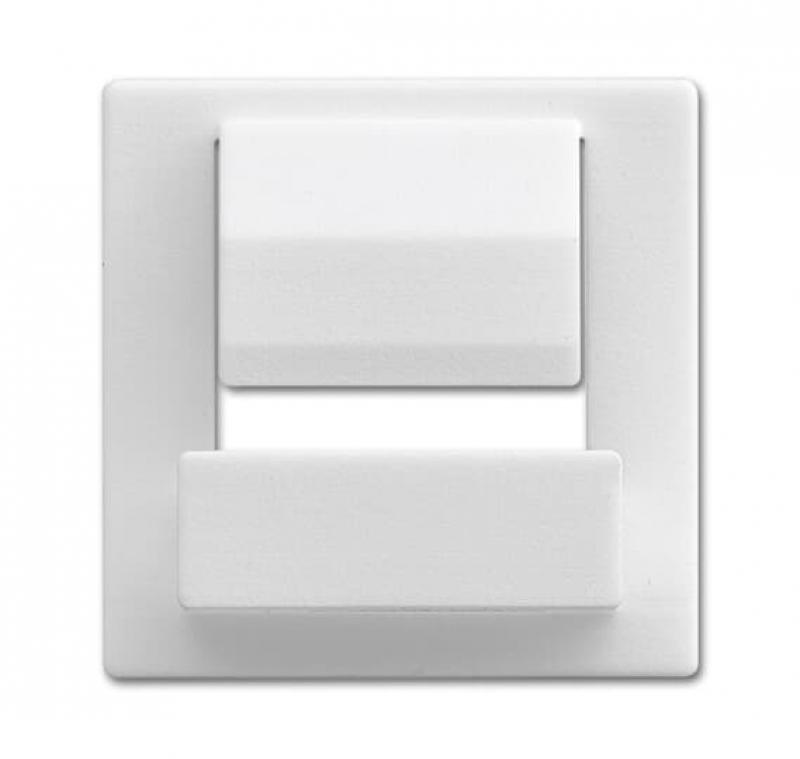 Busch-Jaeger 6477-84 Zentralscheibe für Busch-powerDock