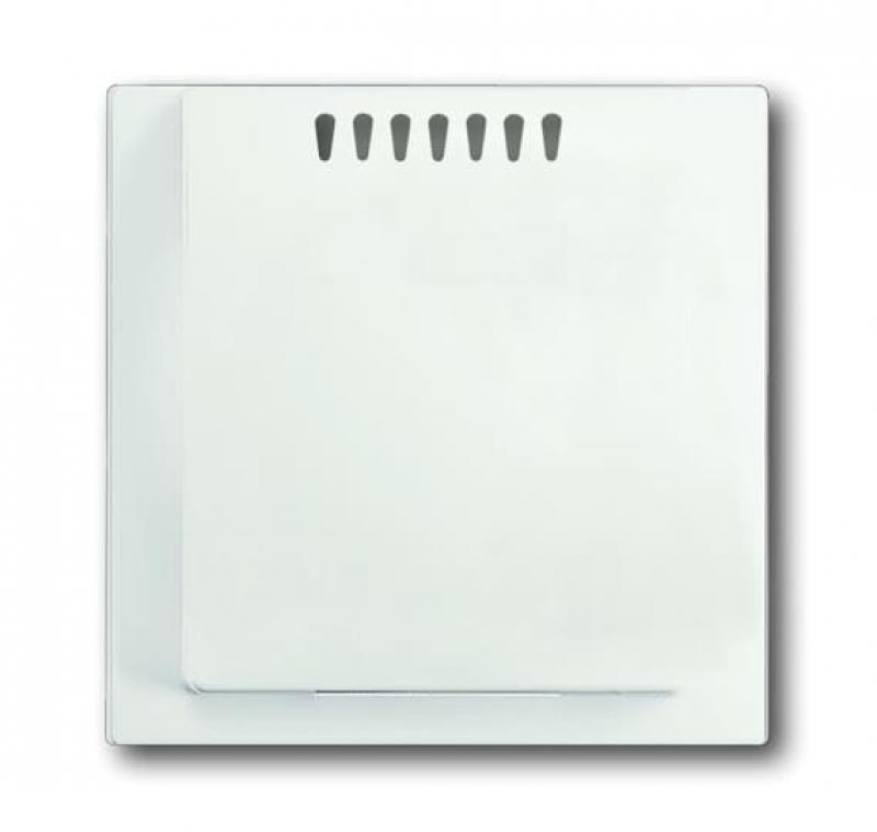 Busch-Jaeger 6541-774 Zentralscheibe für Kühlteil