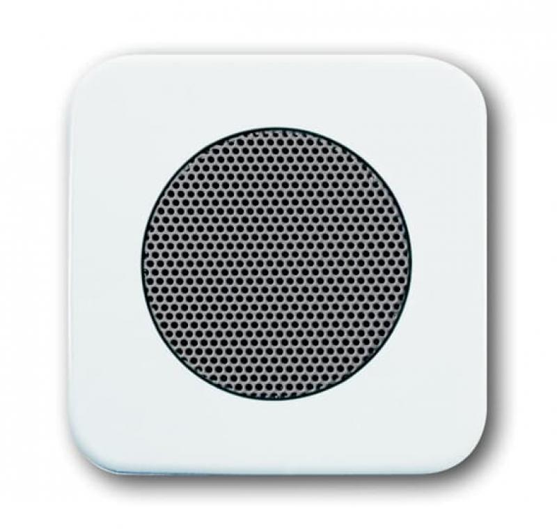 Busch-Jaeger 8253-214 Zentralscheibe