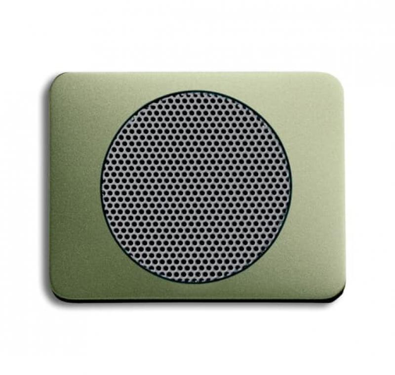 Busch-Jaeger 8253-260 Zentralscheibe