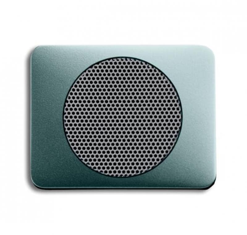 Busch-Jaeger 8253-266 Zentralscheibe