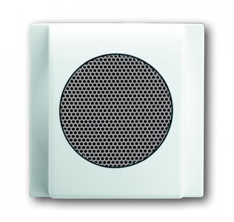 Busch-Jaeger 8253-74 Zentralscheibe