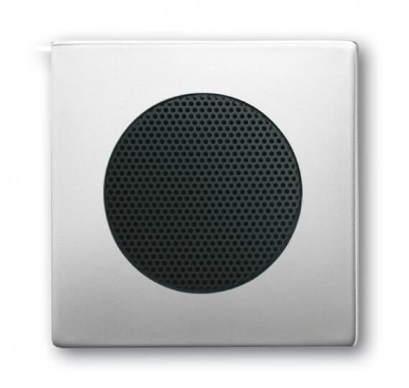 Busch-Jaeger 8253-866 Zentralscheibe