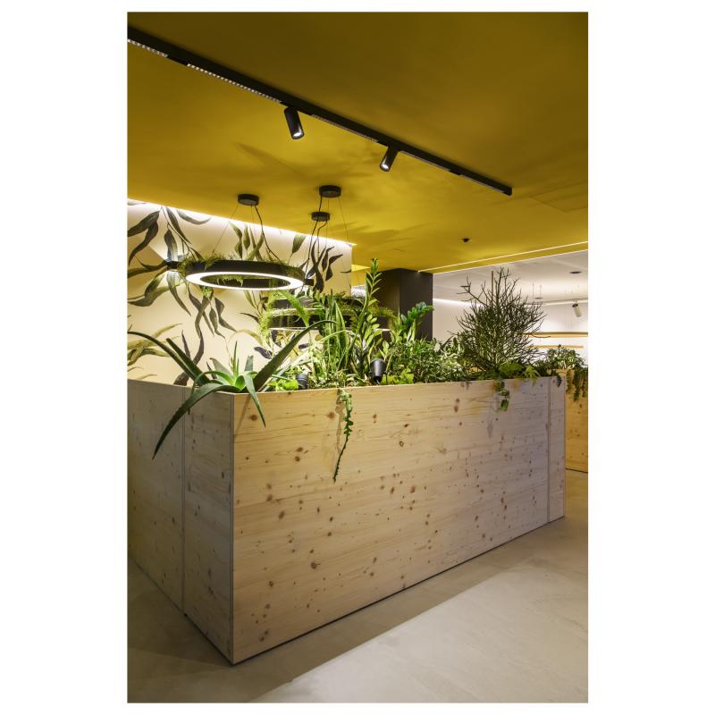 SLV 1006729 NUMINOS S 48V TRACK DALI Spot schwarz / schwarz 16W 1030lm 3000K CRI90 55°