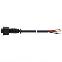 EVN Anschlussleitung mit Stecker für IP65-Stecksystem 6502014