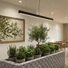 CDS LED-Pendelleuchte PENDULUM 1700 HORTICULTURE – Professionelle Pflanzenbeleuchtung für moderne Innenraumbegrünungen