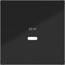 Hager Zentralst. f. USB-C PW Ax/Cx schw gl