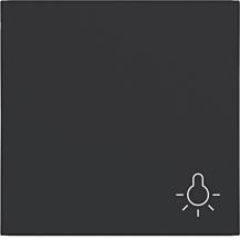 Hager WI 1f Aufdr. Licht Ax/Cx schwarz matt