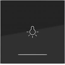 Hager WI 1f Aufdr. Licht Ax/Cx nachtschwarz gl