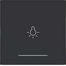 Hager WI 1f Aufdr. Licht Ax/Cx schwarz matt