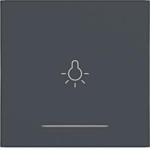Hager WI 1f Aufdr. Licht Ax/Cx ant mt lackiert