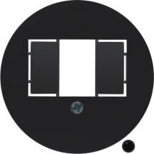 Hager Zentralstück TAE 1930/Glas schwarz
