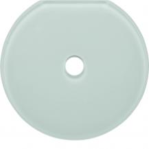 Hager Glas-Endplatte Schalter Serie Glas pw