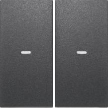 Berker 80960385 Abdeckung 2f. Tastsen.-Modul S/B anth