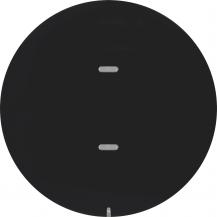 Berker 80161865 Tastsensor 1f Komf KNX R.x sw glän