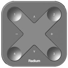 Radium Smarter Schalter XPRESS-LR BLACK Bluetooth Casambi 1-Kanal batteriebetrieben, Art.-Nr. LMZA4954