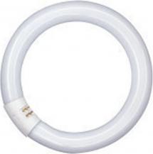 OSRAM G10q LED-Leuchstoff Röhre in Ringform 32W 4000K  EM neutralweißes Licht