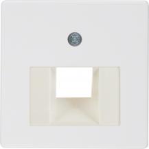 Berker 146809 Z-Platte UAE 1fach CT pw