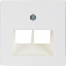 Berker 146909 Z-Platte UAE 2fach F /CT pw