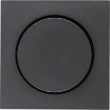 Berker 11371606 Z-stück m Knopf f D-Dimm S.1/B.x anth