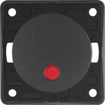 Berker 937722505 Kontr-Tast, Schl., Lins., Flow/Pure, ant
