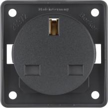 Berker 962622505 Steckdose mit SK British Standard ITG an