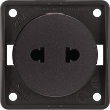 Berker 962572501 Steckdose ohne SK Euro-US Stand ITG br
