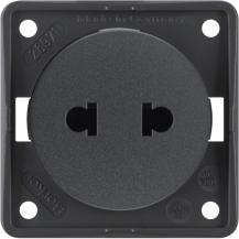 Berker 962572505 Steckdose ohne SK Euro-US Stand ITG anth