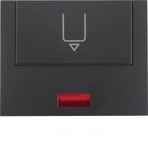 Berker 16417106 Hotelcards m Druck u rot Linse K.1 anth