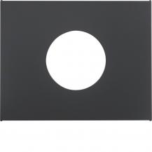 Berker 11657006 Zentralst. f Druck-Ta u Lichts K.1 anth