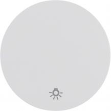 Berker 16202079 Wippe mit Aufdr Symbol Licht R.1/R.3 pw