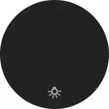 Berker 16202035 Wippe mit Aufdr Symbol Licht R.1/R.3 sw