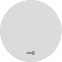 Berker 16202059 Wippe mit Aufdr Symbol Tür R.1/R.3 pw