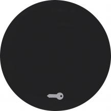 Berker 16202015 Wippe mit Aufdr Symbol Tür R.1/R.3 sw