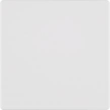 Berker 85145129 KNX-Funk Taste 1f quickl Q.x pw