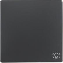 Berker 16206046 Wippe mit Aufdr Symbol Licht Q.x ant