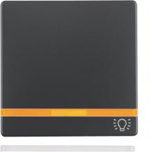 Berker 16216076 Wippe m 2 Linsen und Symbol Licht Q.x an