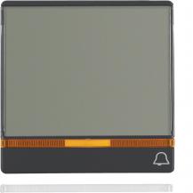 Berker 16966076 Wippe m 2 Linsen u BSF groß Q.x anthr