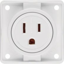 Berker 862632502 Steckdose m SK USA/CAN NEMA 5-15R ITG pw