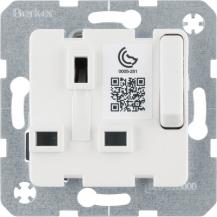 Berker 53420219 Steckdose British St.13A erh BS absch pw