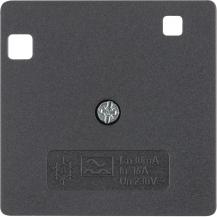 Berker 14961606 Z-PL F FI-SZ-Schalter anth matt