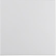 Berker 16298989 Wippe mit Befeststück S.1 IP44 pw glzd