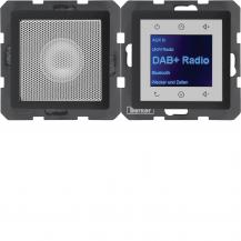 Berker 29806086 Radio mit Lautspr. DAB+ Q.x anth.