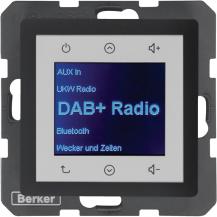 Berker 29846086 Radio DAB+, Q.x anth.