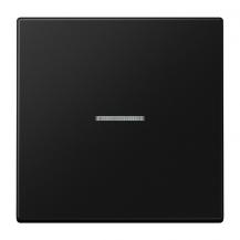 JUNG HOME BT LS 17101 SWM Taster 1fach, mit Lichtleiter, graphitschwarz matt